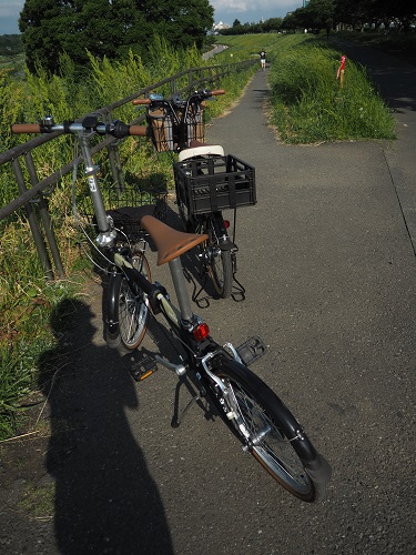 f:id:camelulu:20210517173017j:plain