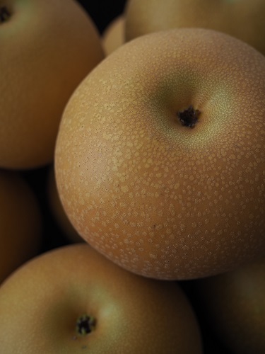f:id:camelulu:20211005144226j:plain