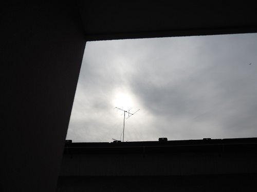 f:id:camelulu:20211121173721j:plain