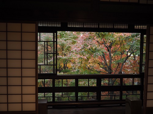 f:id:camelulu:20211126224648j:plain