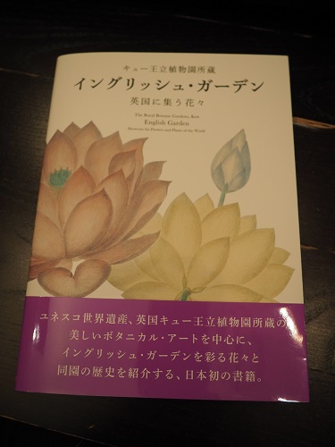 f:id:camelulu:20211127000430j:plain