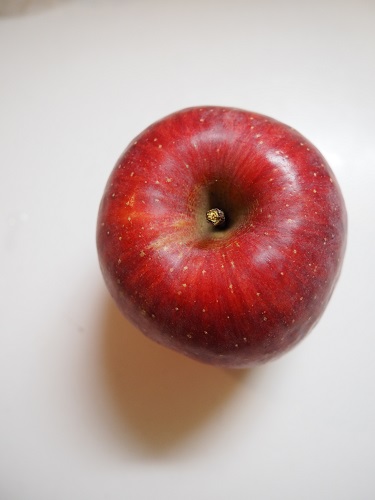 f:id:camelulu:20211226001630j:plain