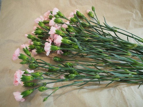 f:id:camelulu:20220210232012j:plain