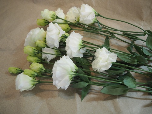 f:id:camelulu:20220210232025j:plain
