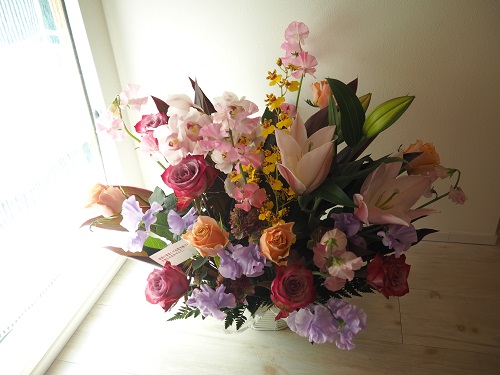 f:id:camelulu:20220305012216j:plain