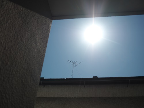 f:id:camelulu:20220305012234j:plain