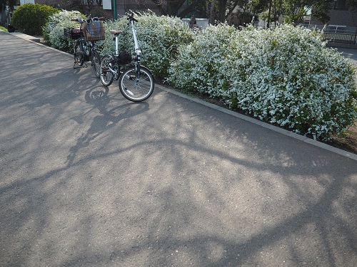 f:id:camelulu:20220327162943j:plain