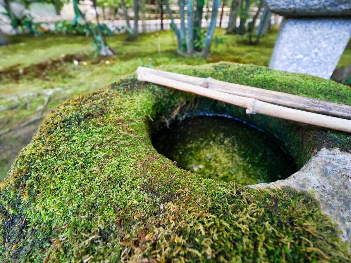 f:id:camera-chikuwa:20201103215517j:plain