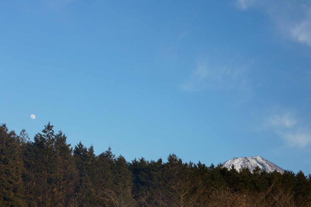 f:id:camera-yurucamp:20190121195706j:plain
