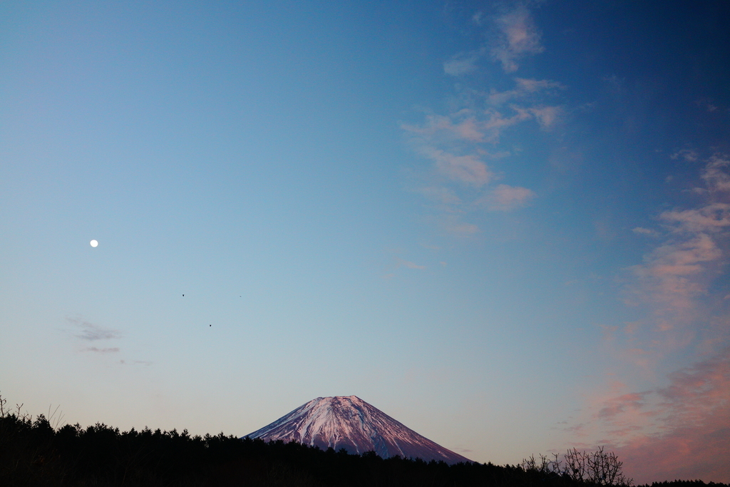 f:id:camera-yurucamp:20190122131902j:plain
