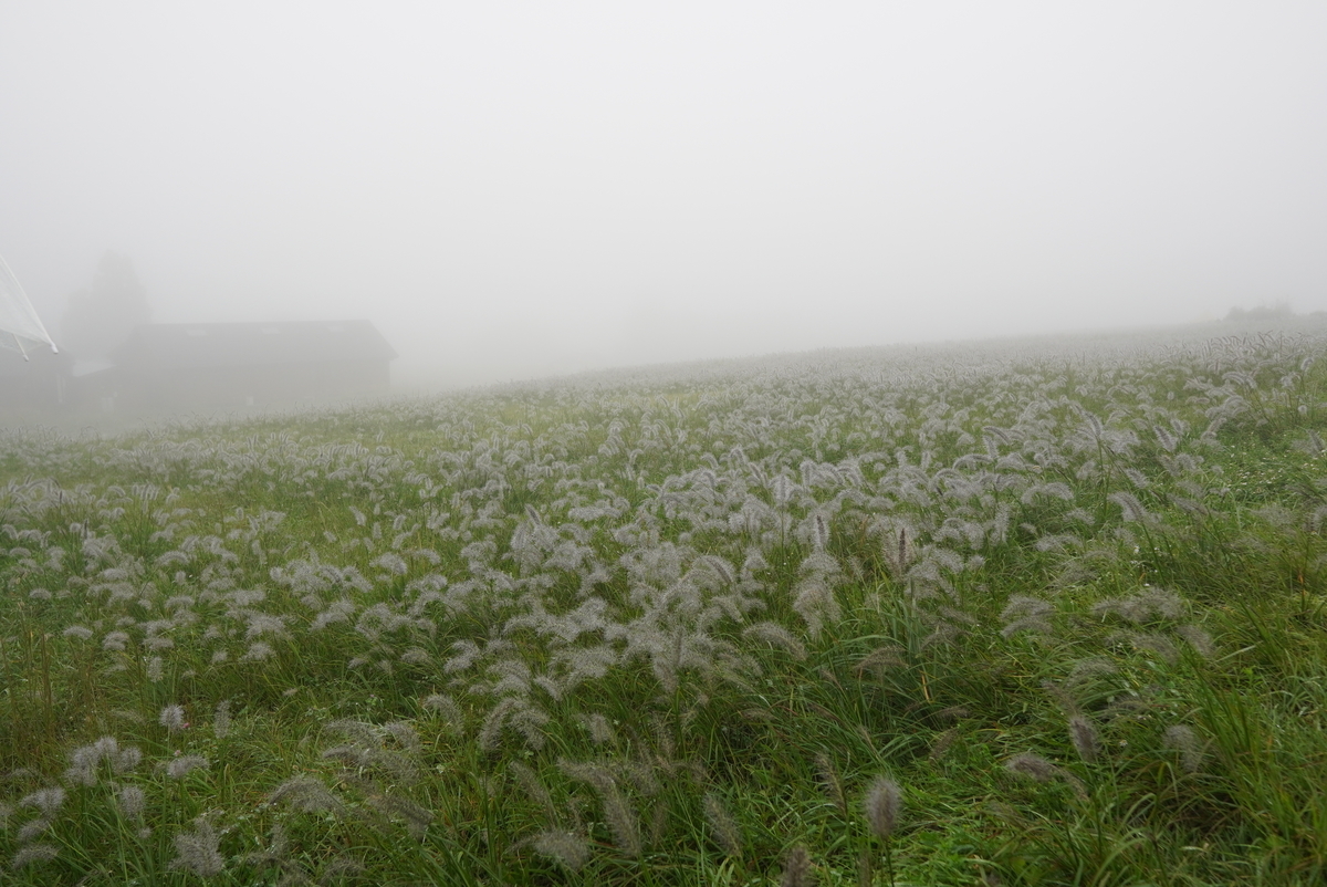 f:id:camera-yurucamp:20200929123829j:plain