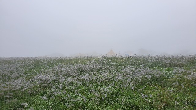 f:id:camera-yurucamp:20200929203813j:image