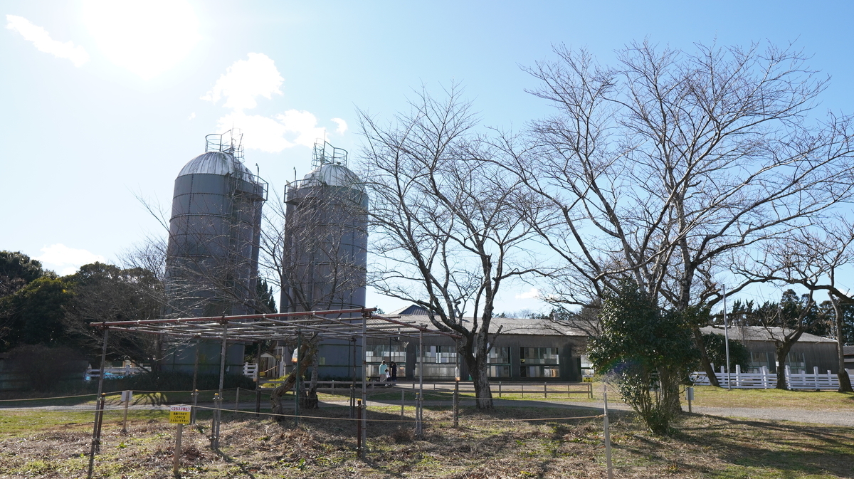 f:id:camera-yurucamp:20210123124920j:plain