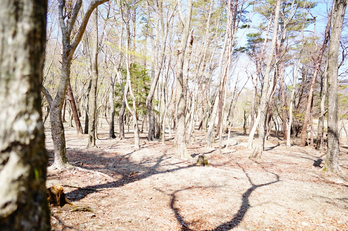f:id:camera-yurucamp:20210503110321j:plain
