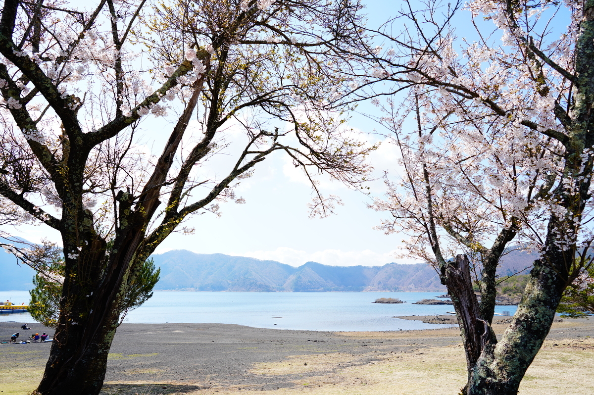 f:id:camera-yurucamp:20210503213747j:plain