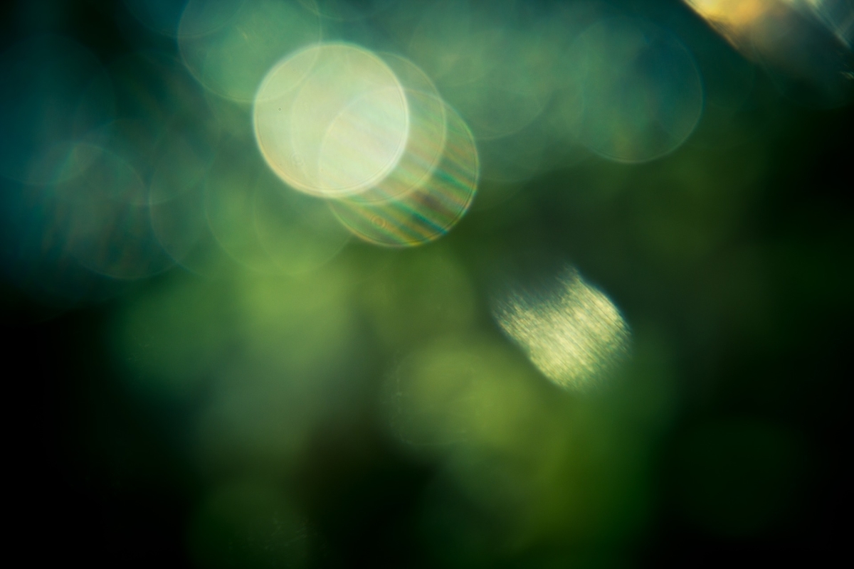 f:id:camera_pro1:20210706220441j:plain