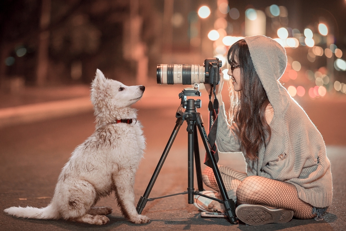 f:id:camera_pro1:20210706220759j:plain