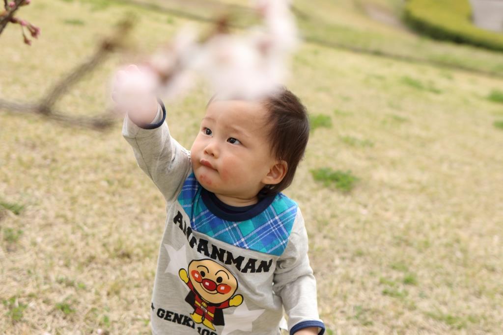 f:id:camerababy:20190623231549j:plain f:id:camerababy:20190623231549j:plain