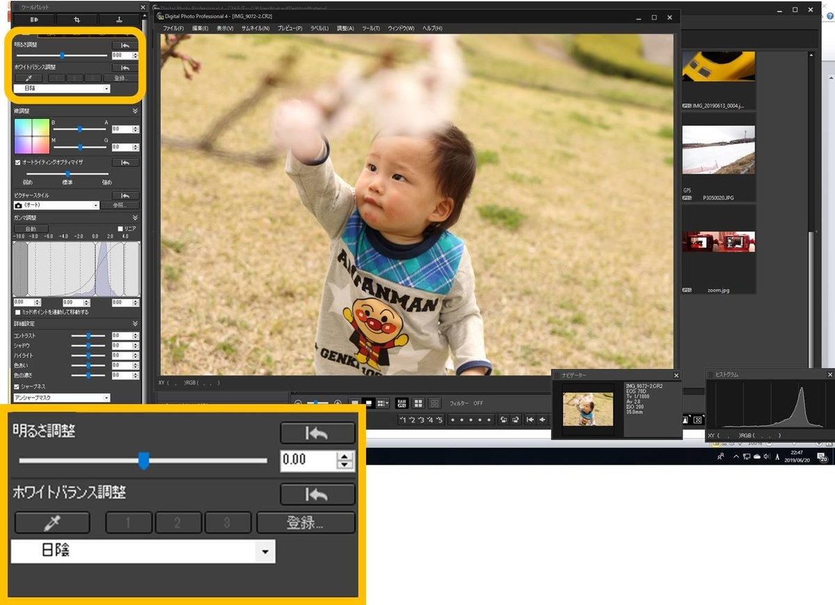 f:id:camerababy:20190623231717j:plain f:id:camerababy:20190623231717j:plain