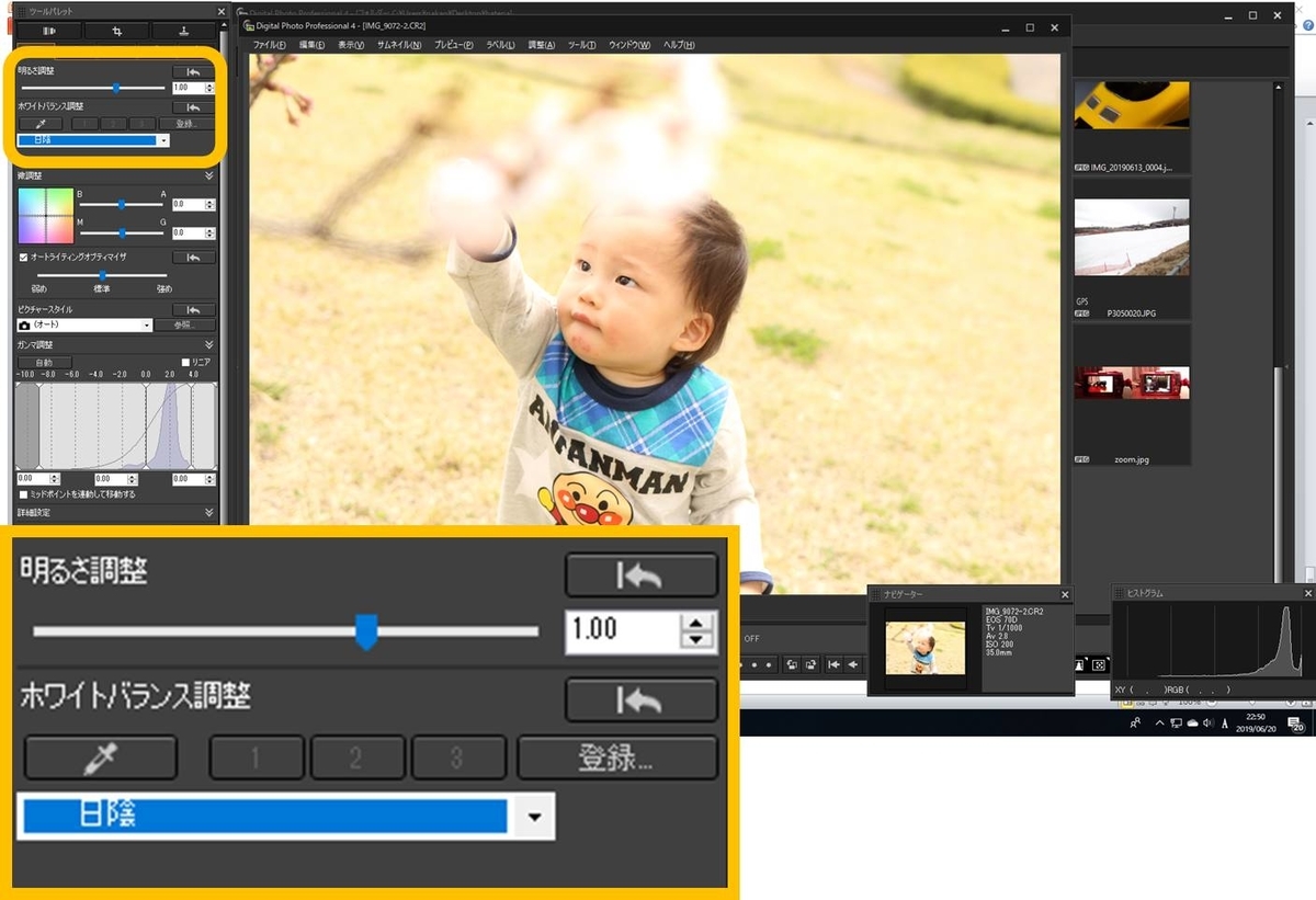 f:id:camerababy:20190623231806j:plain f:id:camerababy:20190623231806j:plain