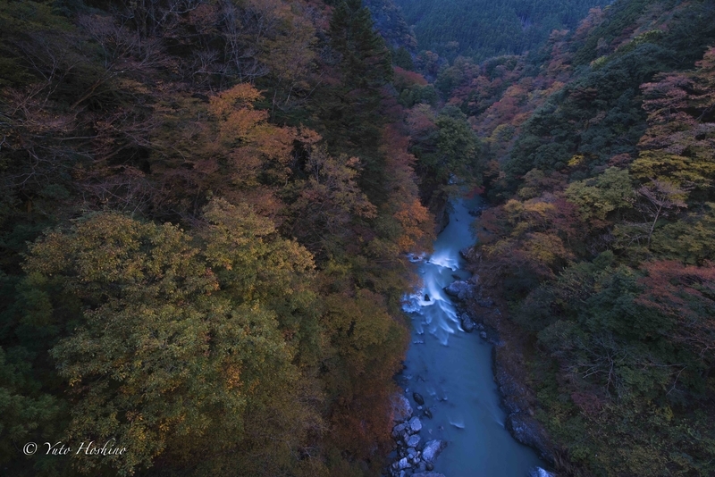 f:id:camerakuma:20220310072445j:plain