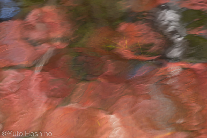 f:id:camerakuma:20220406160609j:plain