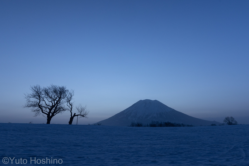 f:id:camerakuma:20220406161048j:plain