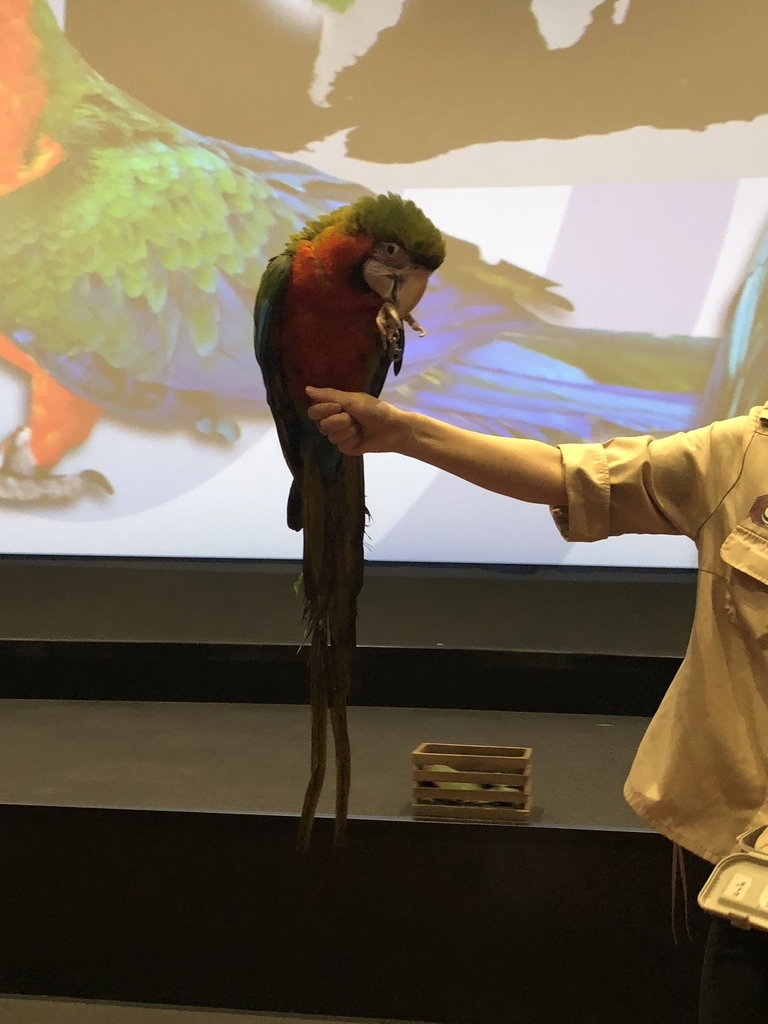 f:id:camerangz:20190201011139j:plain