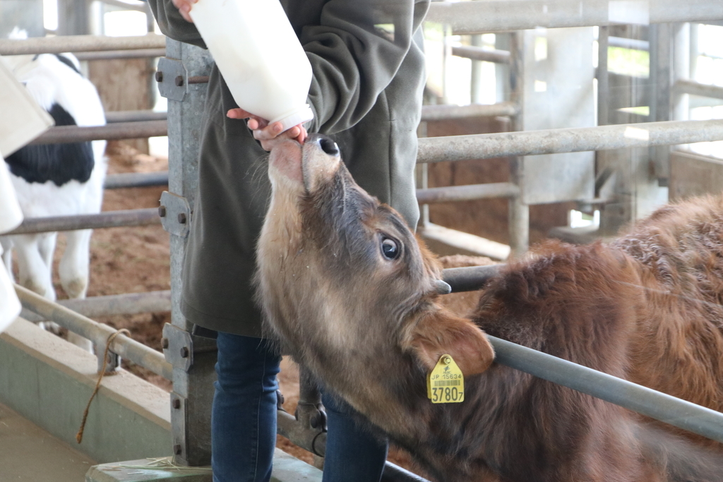 f:id:camerangz:20190307233418j:plain