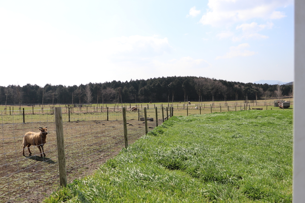 f:id:camerangz:20190307234349j:plain