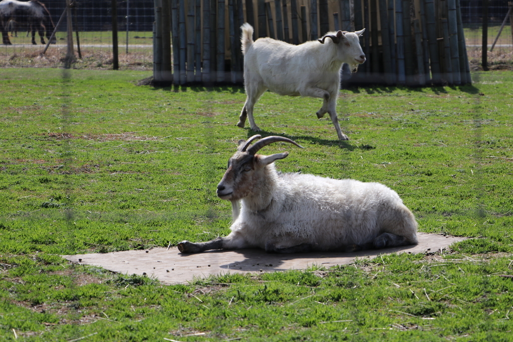 f:id:camerangz:20190307234359j:plain