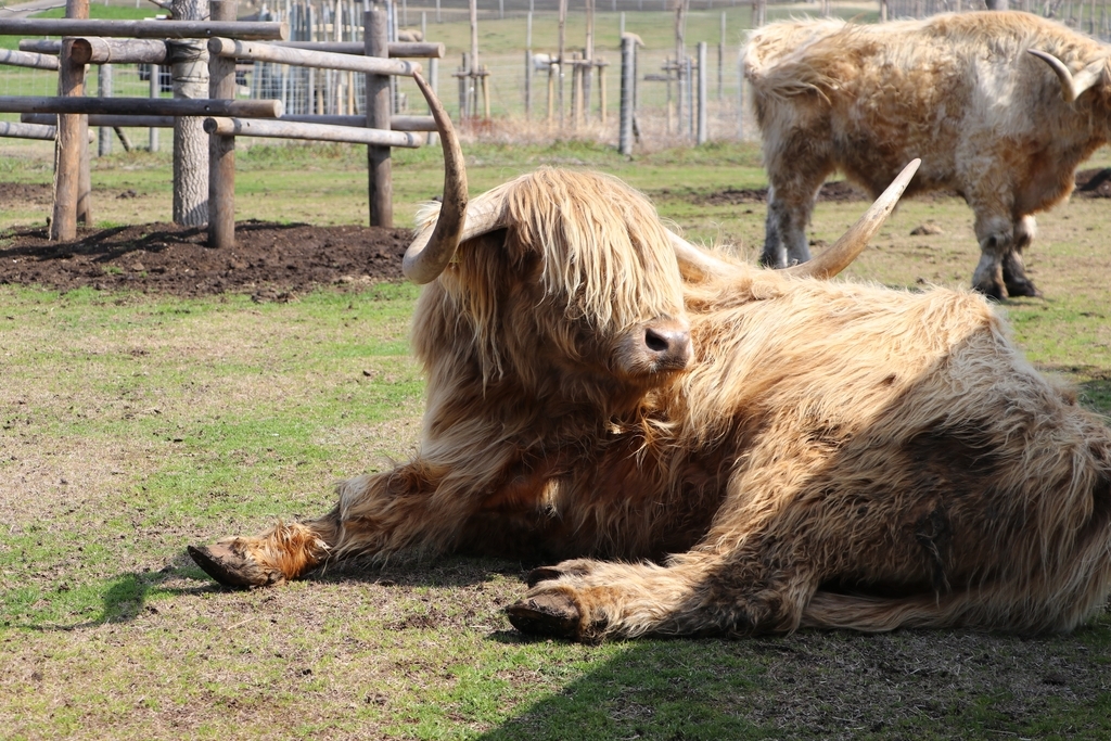 f:id:camerangz:20190308000353j:plain