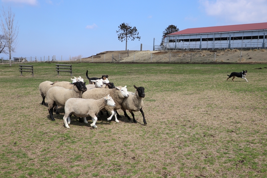 f:id:camerangz:20190308000649j:plain