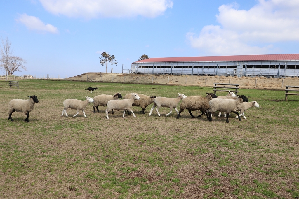 f:id:camerangz:20190308000651j:plain