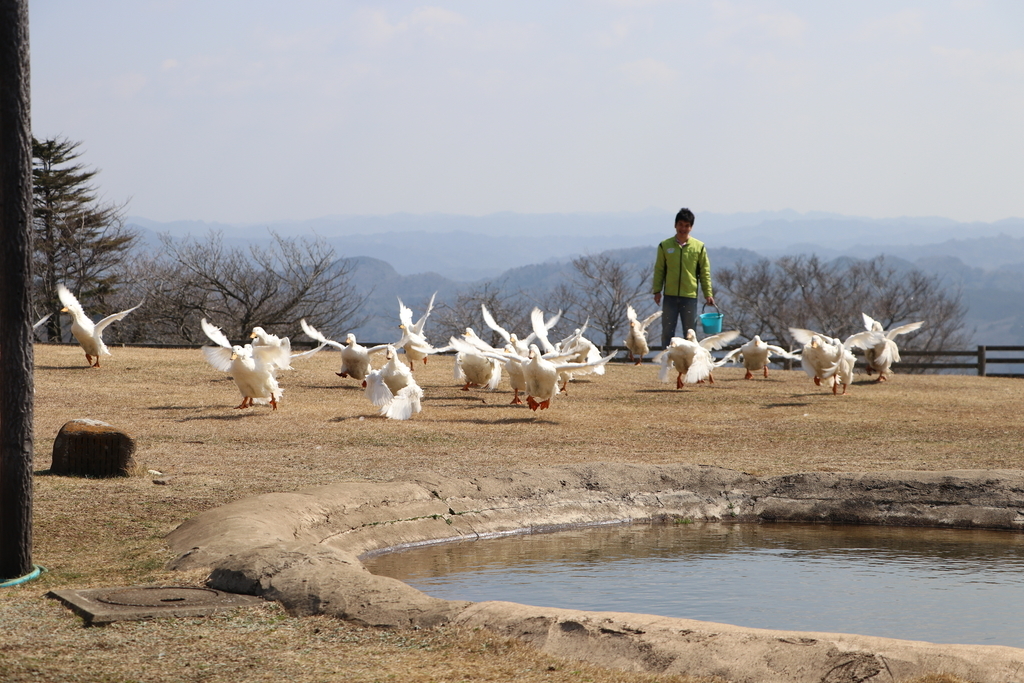 f:id:camerangz:20190308002605j:plain