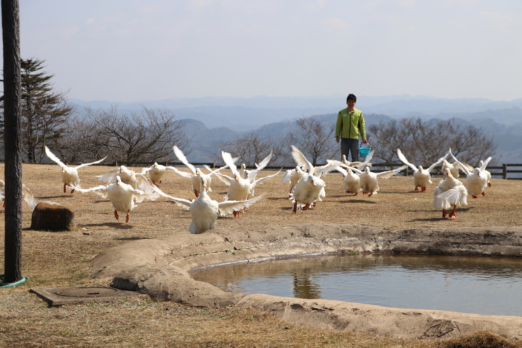 f:id:camerangz:20190308002613j:plain