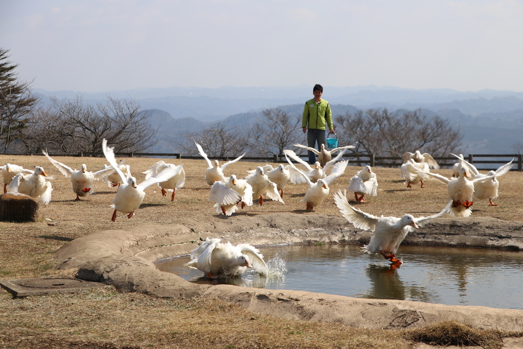 f:id:camerangz:20190308002617j:plain