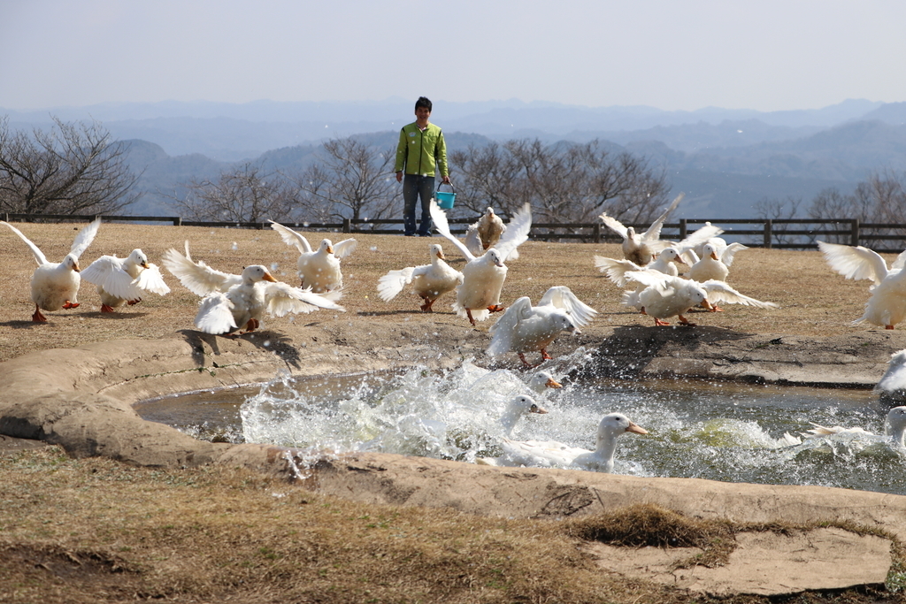 f:id:camerangz:20190308002623j:plain