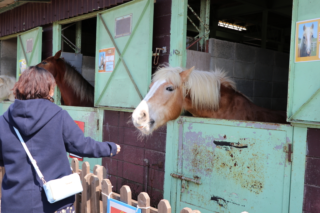 f:id:camerangz:20190308004039j:plain