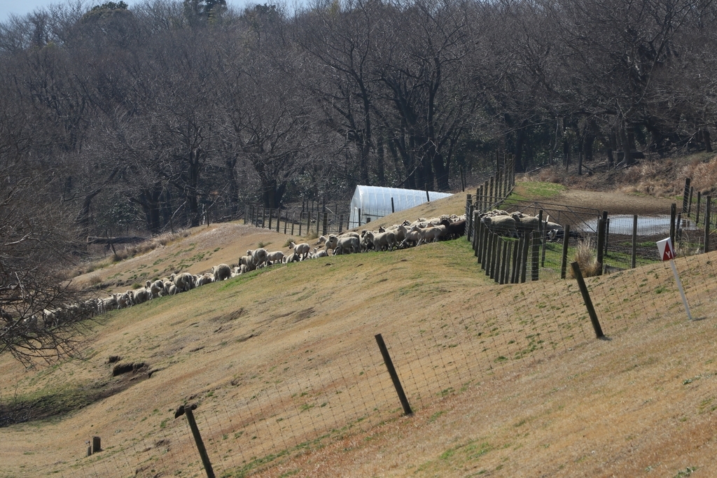 f:id:camerangz:20190308005710j:plain