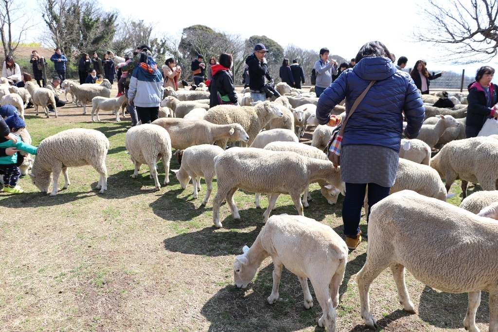 f:id:camerangz:20190308010925j:plain