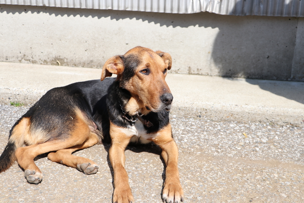 f:id:camerangz:20190308011038j:plain