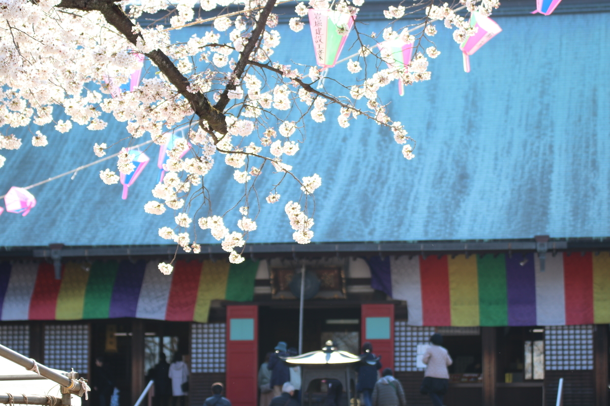 f:id:camerangz:20190406014757j:plain