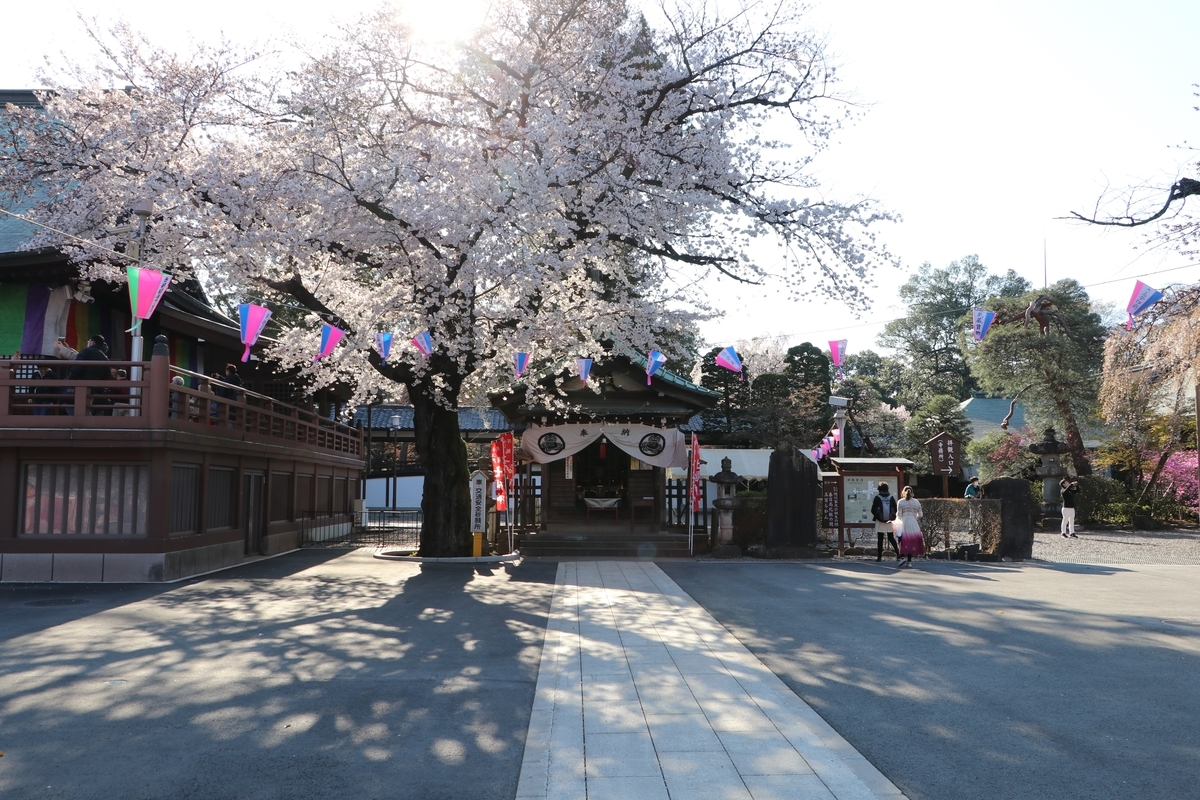 f:id:camerangz:20190406014925j:plain