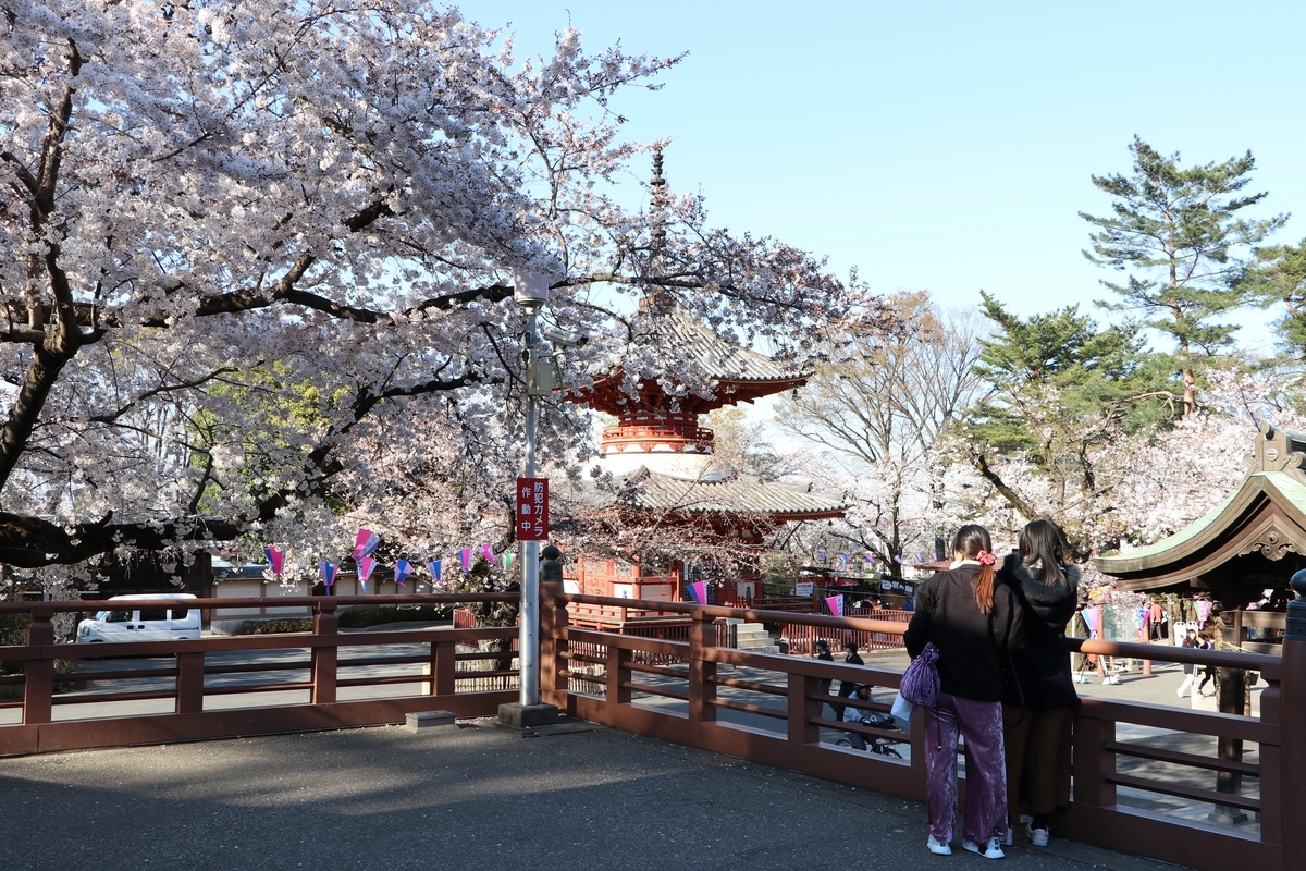 f:id:camerangz:20190406015025j:plain