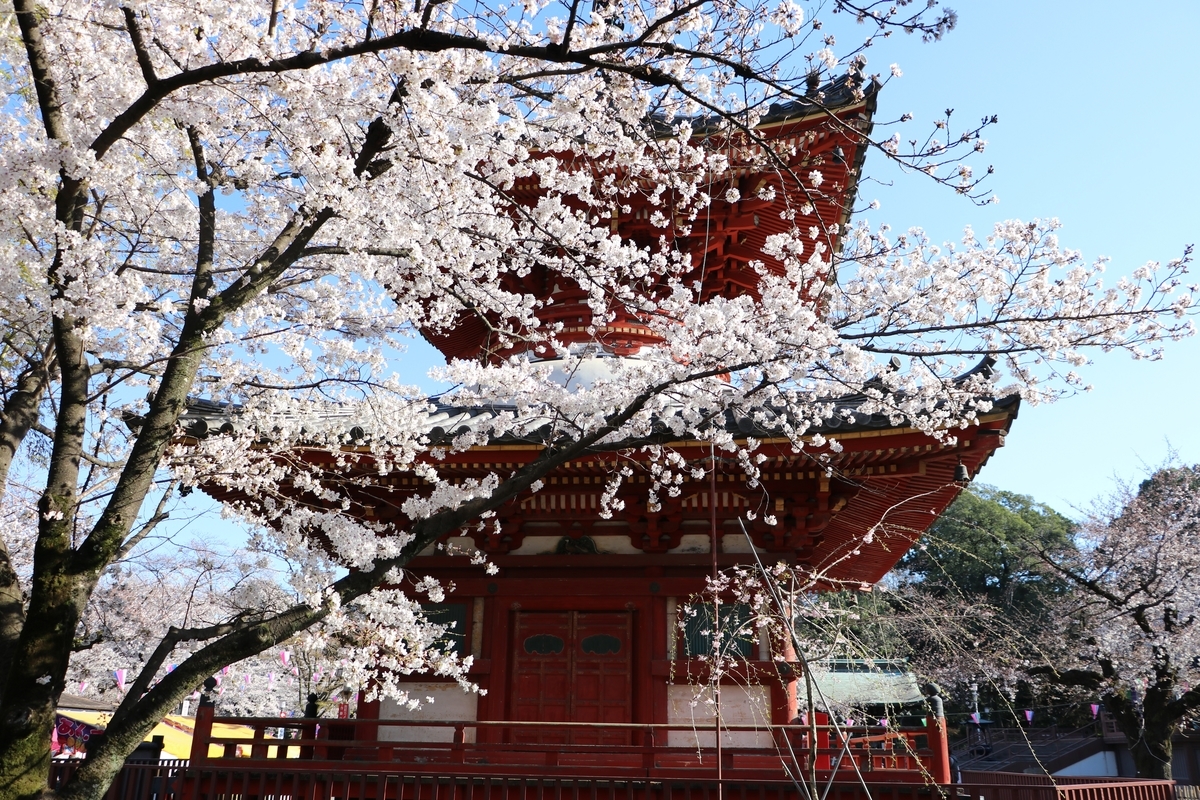 f:id:camerangz:20190406015444j:plain