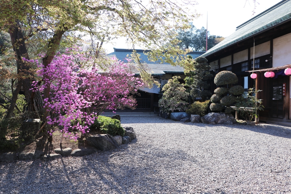 f:id:camerangz:20190406015735j:plain