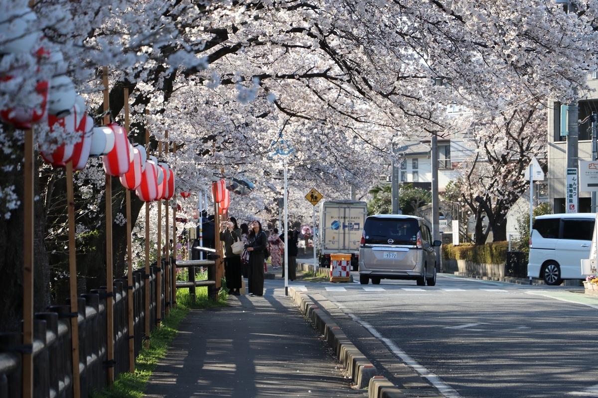 f:id:camerangz:20190406022022j:plain