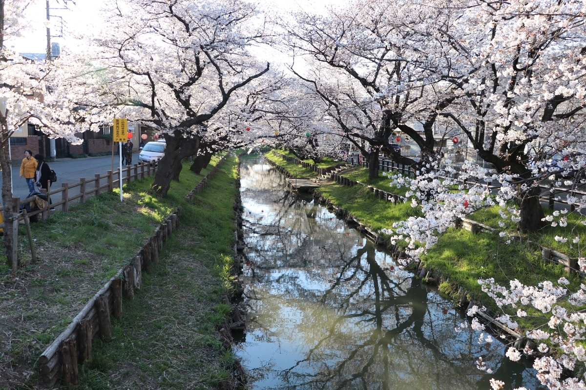 f:id:camerangz:20190406022241j:plain