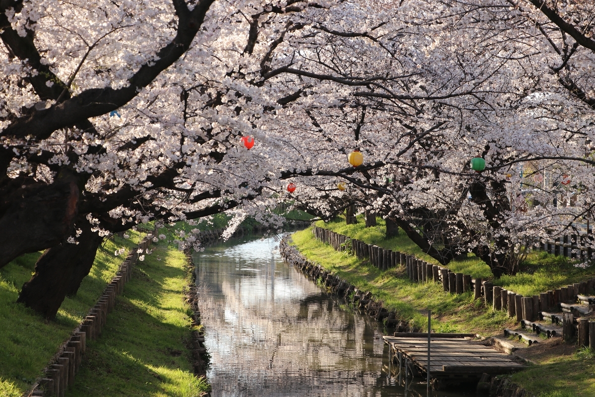 f:id:camerangz:20190406022646j:plain